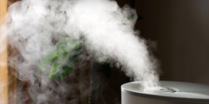 Steam From Humidifier