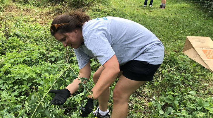 rain garden clean up 2