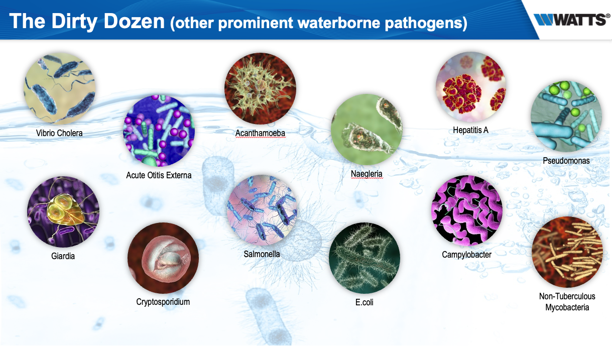 prominent waterborne pathogens